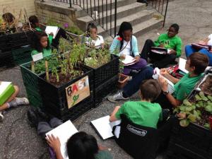 Brooklyn Urban Garden Charter School Bugs Ioby