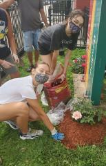 Volunteers planting roses in front of school