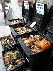 Rosa Keller Library food waste collection