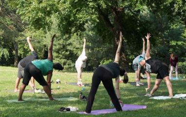Yoga in the Park Franz Sigel Bronx