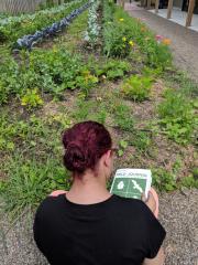 A student utilizing our field journal in a community garden