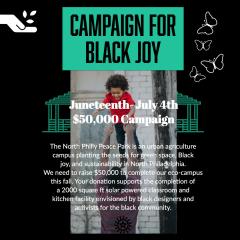 Black Joy Campaign 