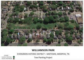 Williamson Park Tree Planting Plan