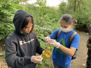 Youth water sampling and testing water quality.