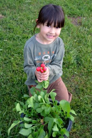 Our little girl demonstrates the joy of harvesting fresh, healthy food!