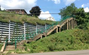The Stanton Heights Steps -- "before" image.