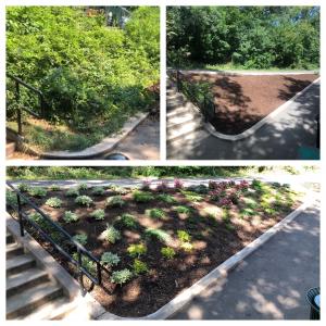 A recent Harlem Hort project in St. Nicholas Park