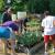 Youth and families learning in garden