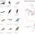Threatened Birds Atlantic Flyway Migration Routes New York City