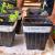 In a classroom, how well do plants grow with worm castings