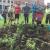 Students build Native Plant Garden on the Waltham Common