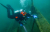 Image of BKP diver using flashlight underwater.